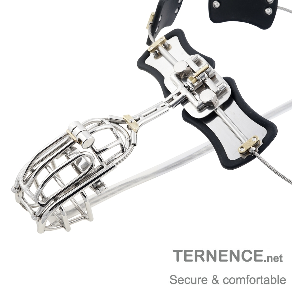TERNENCE Metal Male Chastity Pants Stainless Steel Clip Cage Design Detachable Men's Virginity Lock T type Chastity Belt