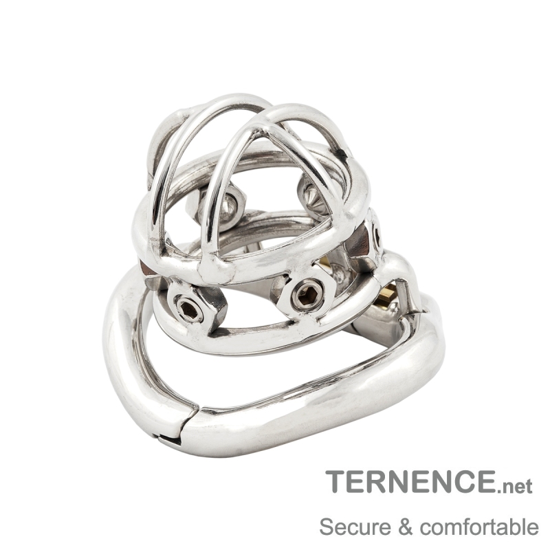 TERNENCE Male Spiked Chastity Device Stainless Steel Cock Cage Penis Ring Virginity Lock Chastity Belt