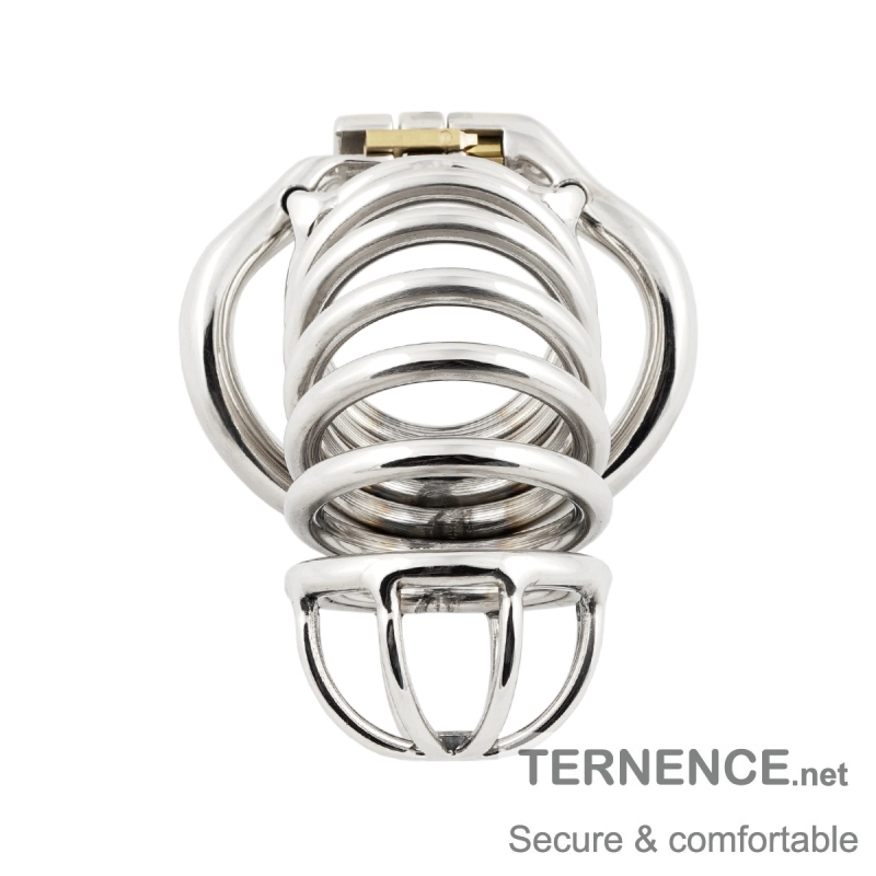 TERNENCE Chastity Device Male Cage Stainless Steel Long Section of The cage Men Chastity Lock