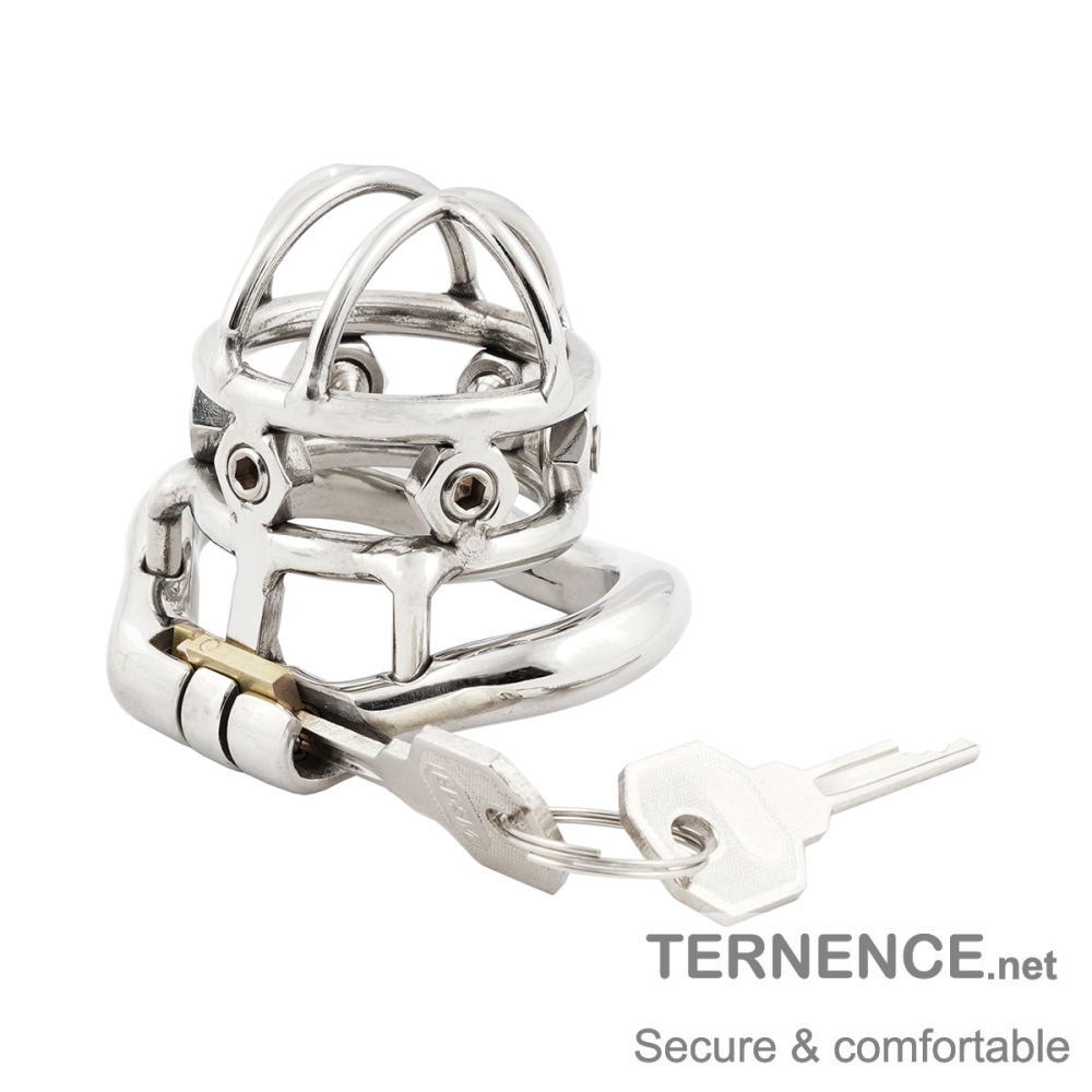 TERNENCE Male Spiked Chastity Device Stainless Steel Cock Cage Penis Ring Virginity Lock Chastity Belt