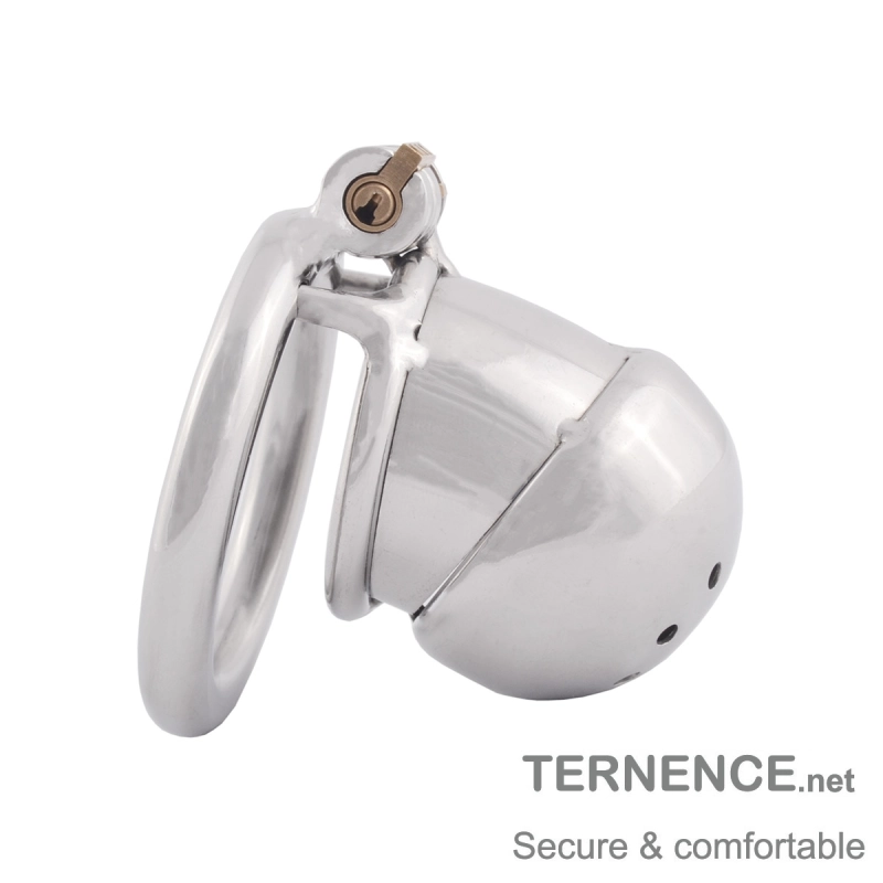 TERNENCE Penis Ring Virginity Lock Stainless Steel Chastity Belt (only cages do not include rings and locks)