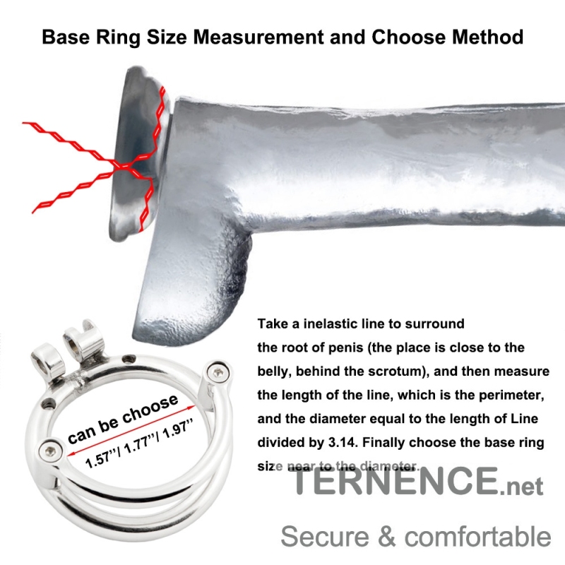 TERNENCE Male Chastity Cage Base Ring Prevent Escape Design Stainless Steel Chastity Device Closed Ring