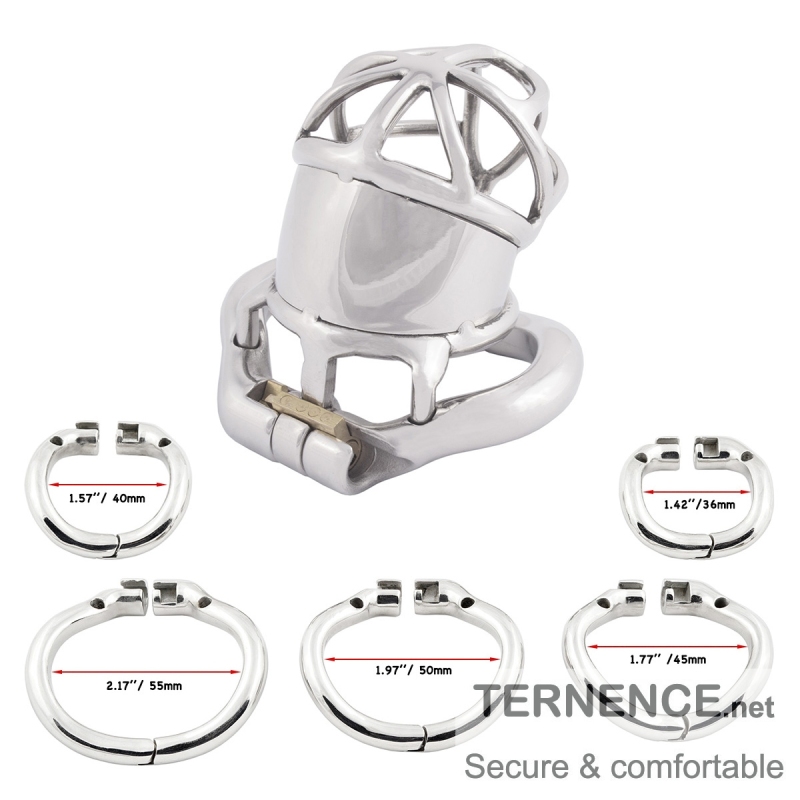 TERNENCE Men Chastity Cage Penis Lock Device with Fetish Erotic Sex Toys