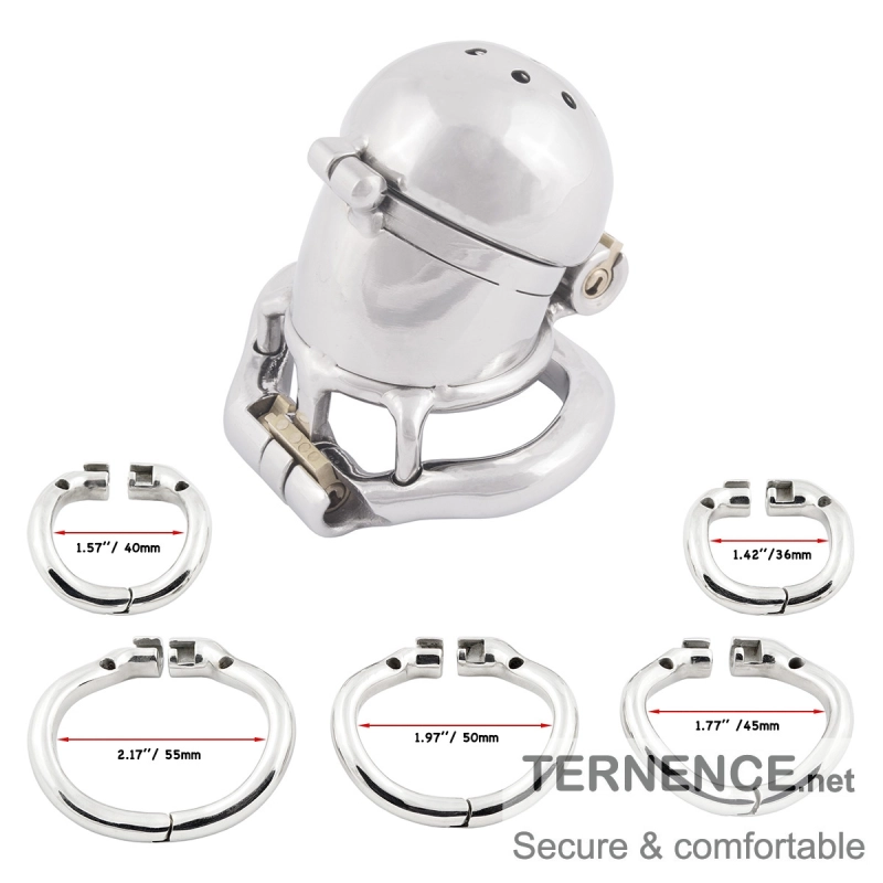 TERNENCE Stainless Steel Male Chastity Device Ergonomic Design Cock Cage with 2 Built-in Locks