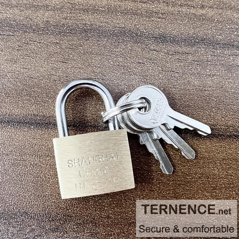 TERNENCE Small Metal Padlock Solid Brass for Male Chastity Device Cock Cage/Built-in Catheter with 3 Key