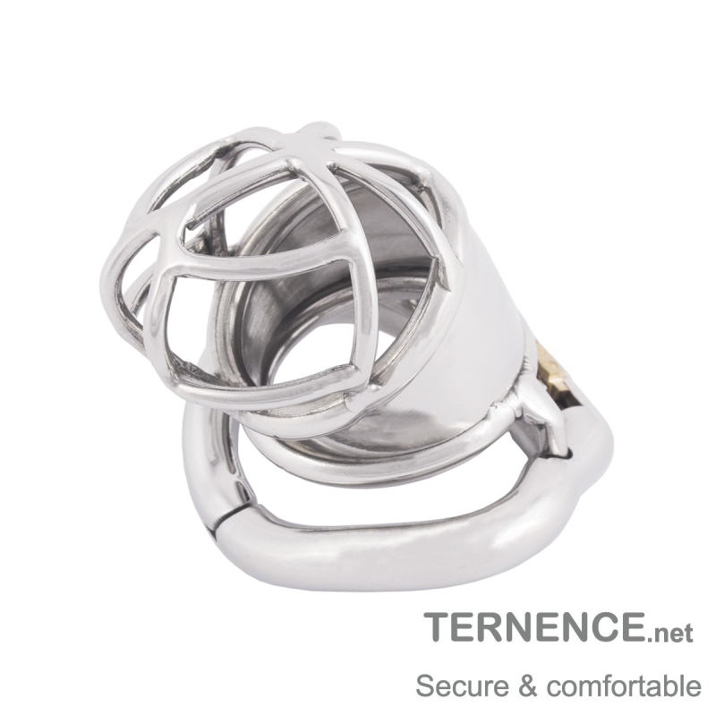 TERNENCE Men Chastity Cage Penis Lock Device for Hinged Ring (only cages do not include rings and locks)