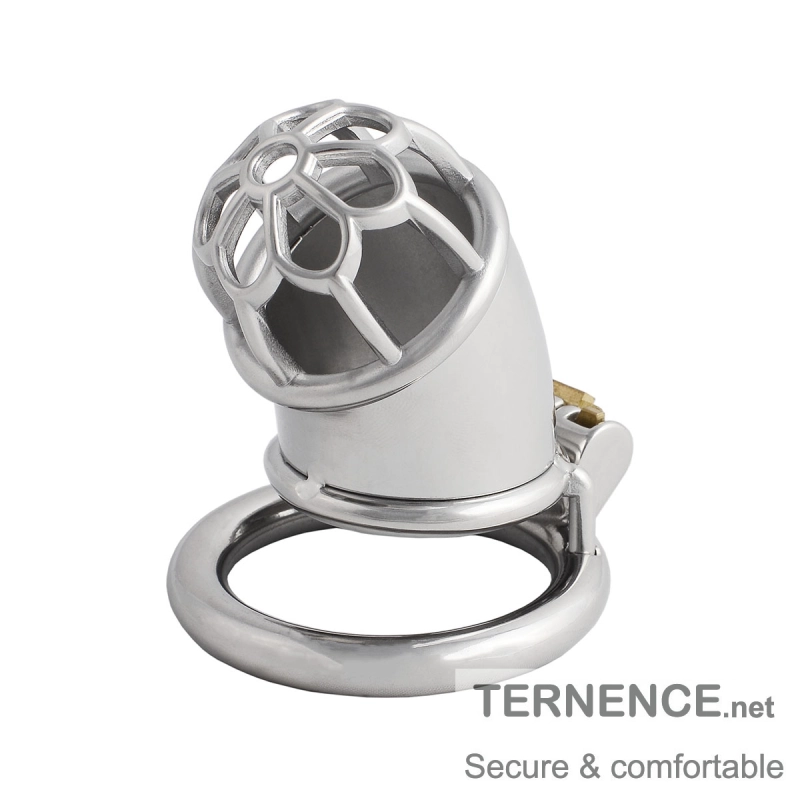 Chasity Cage for Men Metal Chastity Device Breathable Male Abstinence Chastity Lock Cock Cage Penis Cage Prevent Erection Toy