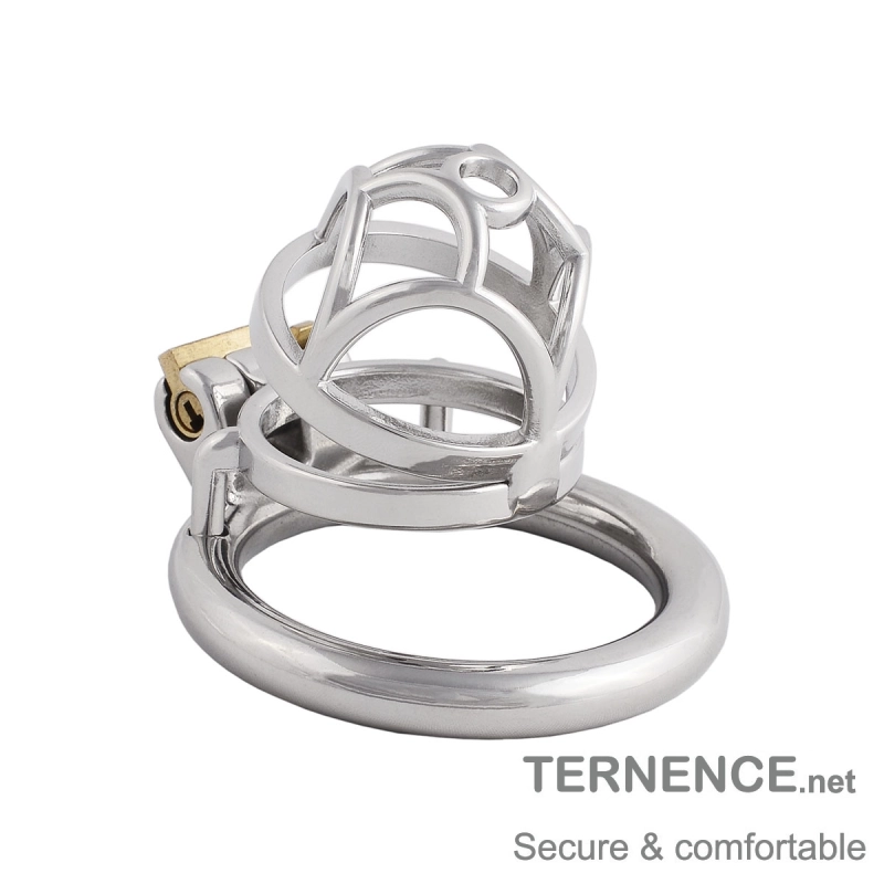 Male's Stainless Steel Chastity Device cage Trainer Kit for Men Chasity Guard