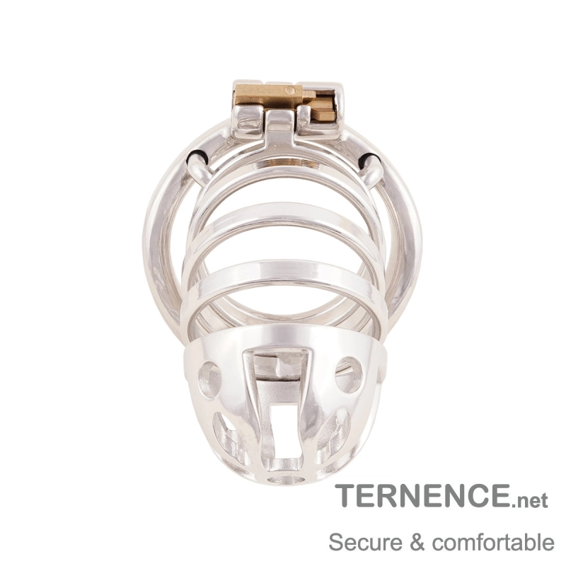 Stainless Steel Long Cock Cage Stealth Lock for SM Penis Exercise Sex Toys
