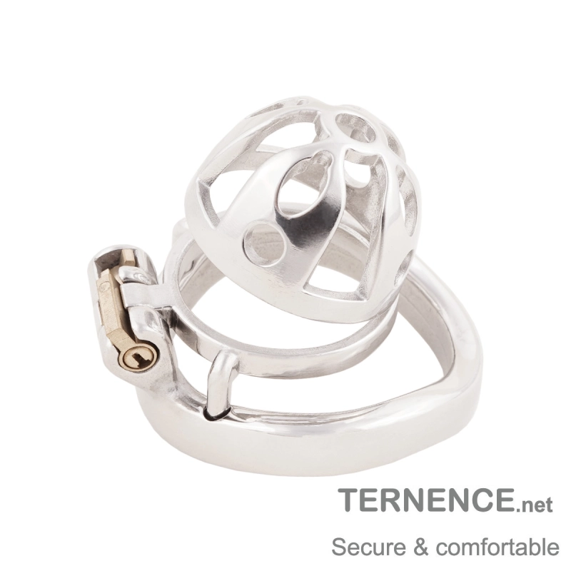 Male Cock Cage Adult Game Sex Toy Ergonomic Design Stainless Steel Stealth Lock