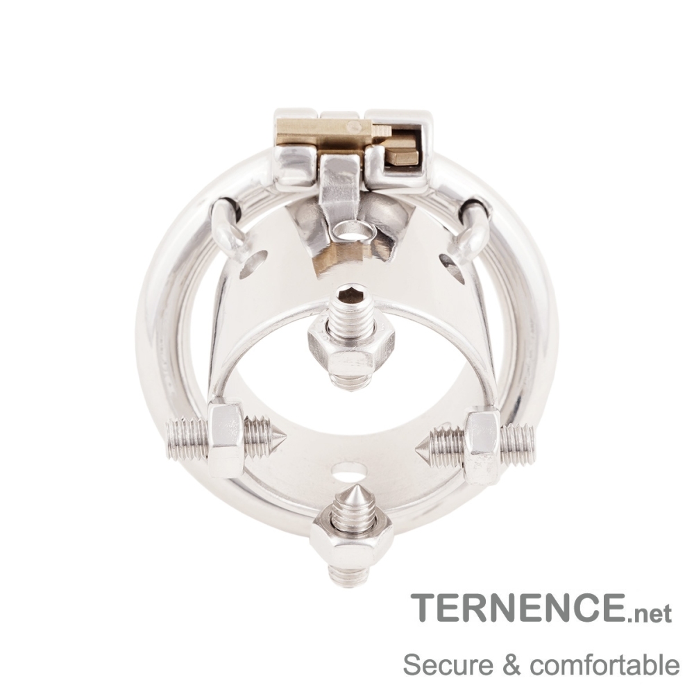 Male Spiked Chastity Device 304 Stainless Steel Cage Ergonomic Design for Men SM Penis Exercise Sex Toys