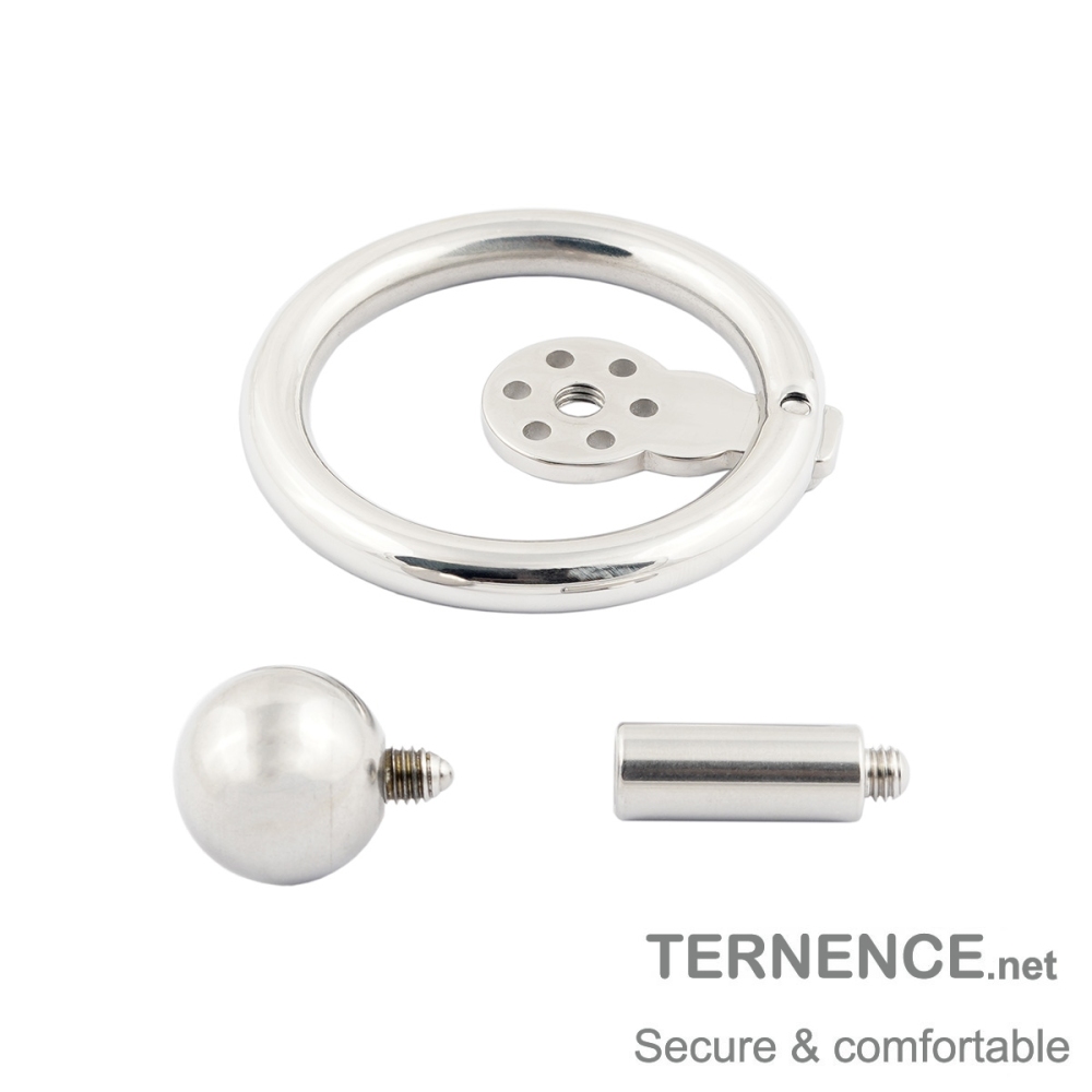 Male Metal Chastity Lock Negative Solid Steel Ball Post Inverted Penis cage for SM Penis Exercise Sex Toys