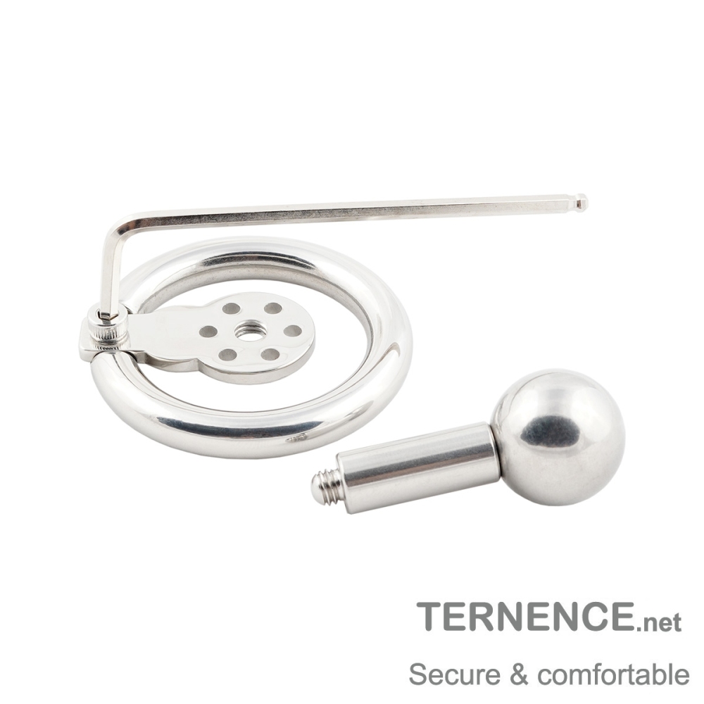 Male Metal Chastity Lock Negative Solid Steel Ball Post Inverted Penis cage for SM Penis Exercise Sex Toys