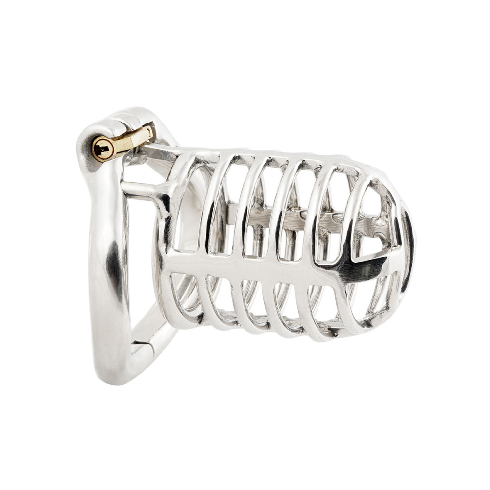 TERNENCE Long Size Men's Metal Chastity Device Ergonomic Design Hinged Ring Cock Cage Penis Lock for Hinged Ring (only cages do not include rings and locks)