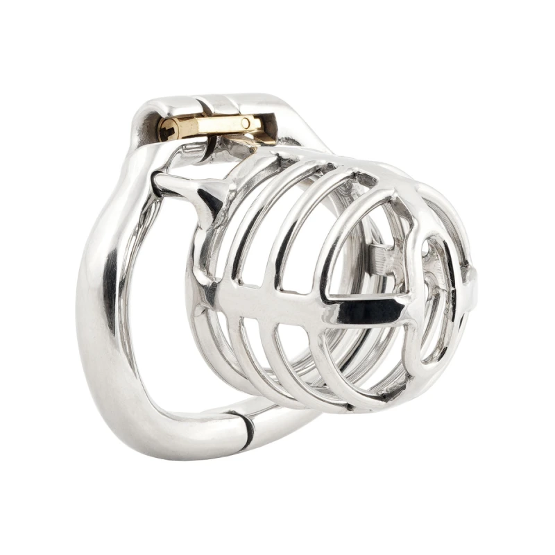 TERNENCE Medium Size Metal Male Chastity Device Ergonomic Design Hinged Ring Cock Cage Penis Lock for Hinged Ring (only cages do not include rings and locks)