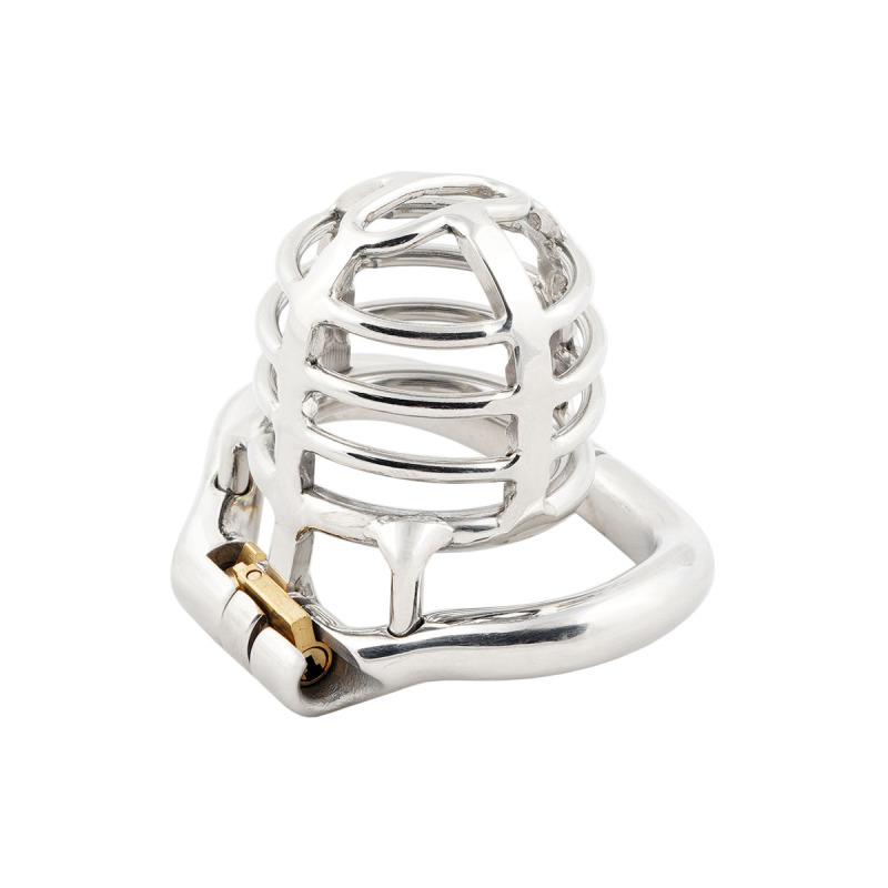 TERNENCE Medium Size Metal Male Chastity Device Ergonomic Design Hinged Ring Cock Cage Penis Lock for Hinged Ring (only cages do not include rings and locks)