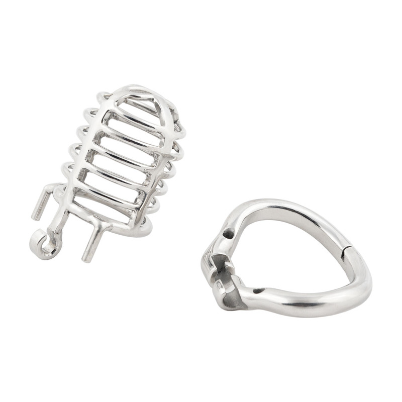 TERNENCE Long Size Men's Metal Chastity Device Ergonomic Design Hinged Ring Cock Cage Penis Lock for Hinged Ring (only cages do not include rings and locks)