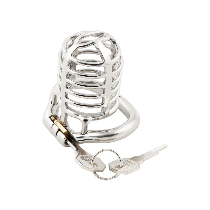 TERNENCE Long Size Men's Metal Chastity Device Ergonomic Design Hinged Ring Cock Cage Penis Lock for Hinged Ring (only cages do not include rings and locks)