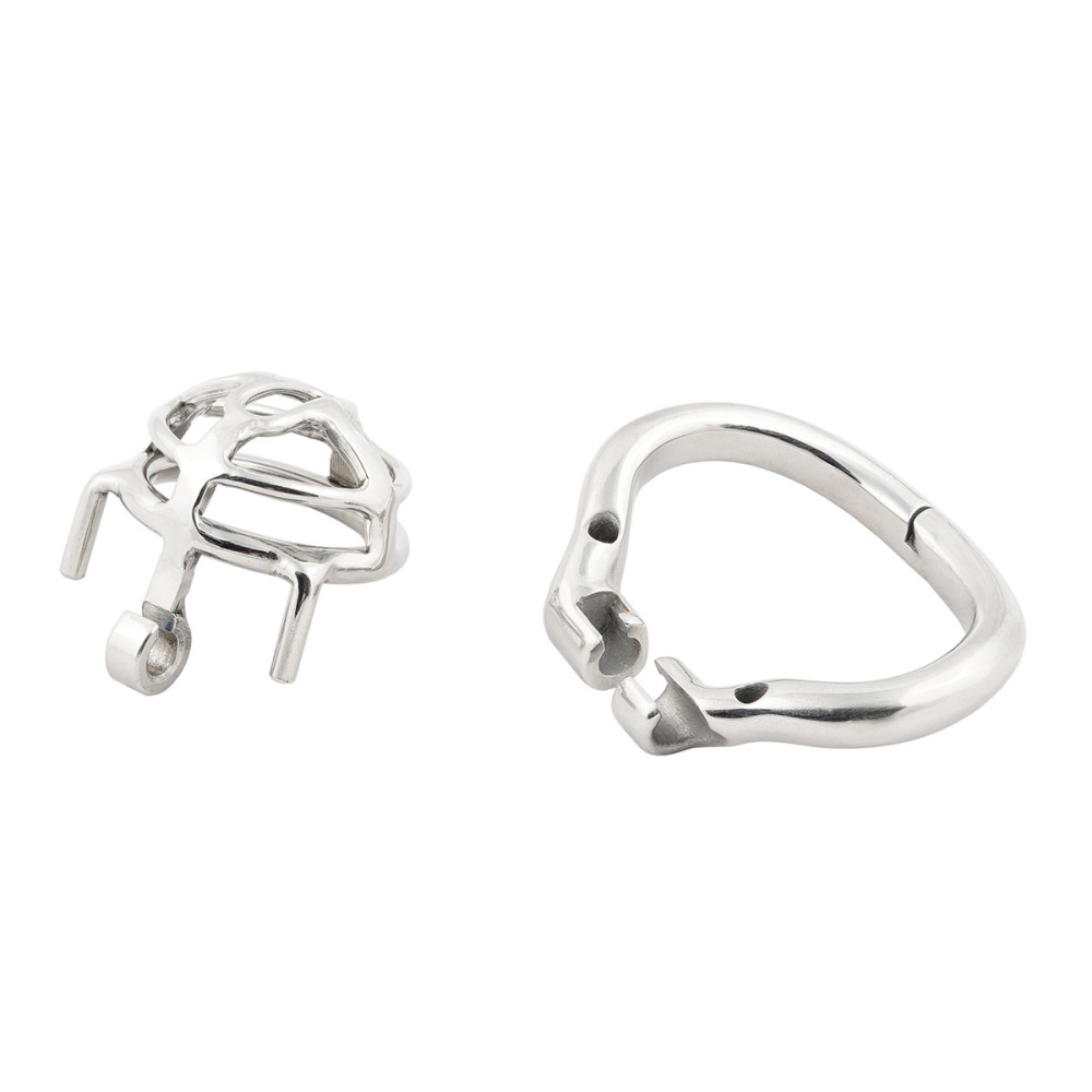 TERNENCE Small Size Male Chastity Cage Ergonomic Design Hinged Ring Cock Cage Penis Lock for Hinged Ring (only cages do not include rings and locks)