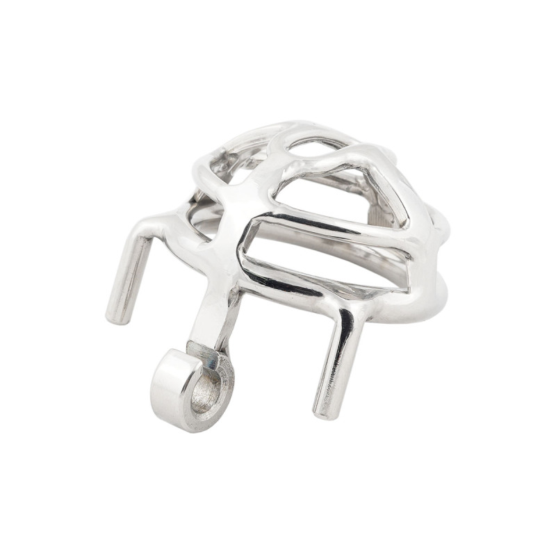 TERNENCE Small Size Male Chastity Cage Ergonomic Design Hinged Ring Cock Cage Penis Lock for Hinged Ring (only cages do not include rings and locks)