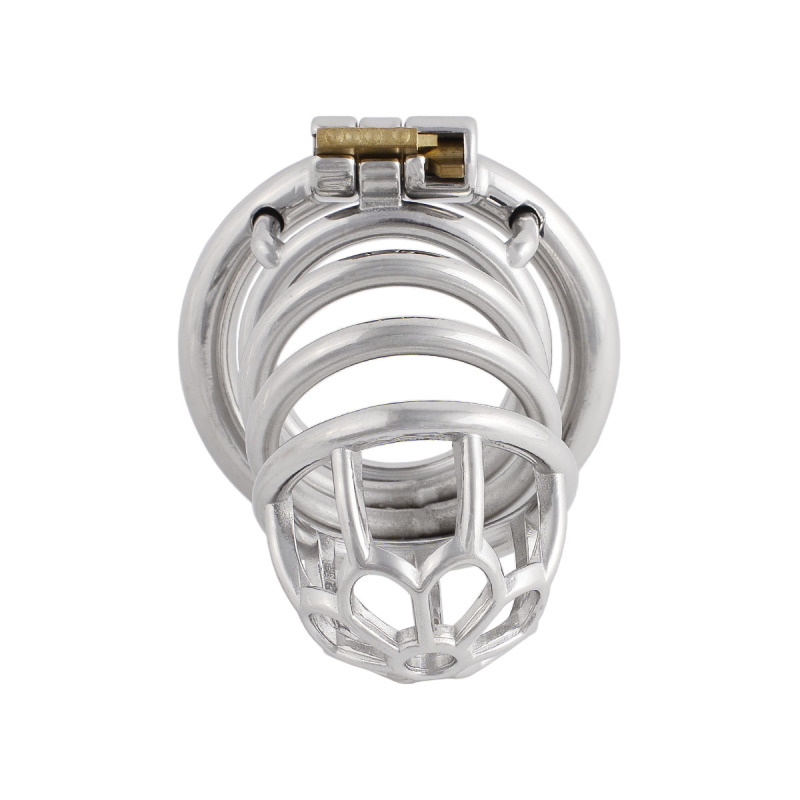 Men's Stainless Steel Male Pennis Lock Cook Penis Ring Cage Male Chastity Device for Men Penis (only cages do not include rings and locks)
