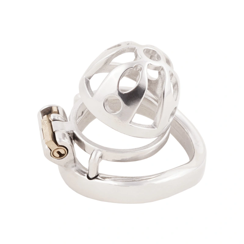 Male Cock Cage Adult Game Sex Toy Ergonomic Design Stainless Steel Stealth Lock (only cages do not include rings and locks)