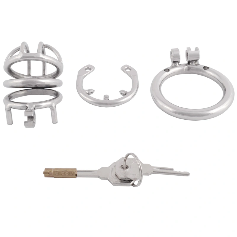 TERNENCE Male Chastity Cock Cage Adult Game Sex Toy with Anti-Off Ring