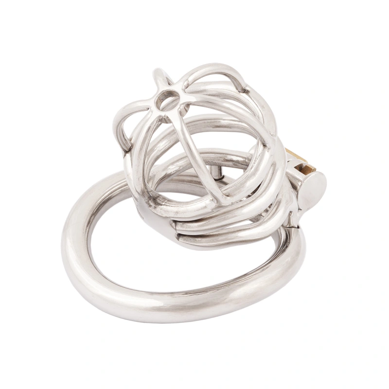 TERNENCE Chastity Device Male Virginity Lock Ergonomic Design Chastity Belt Cock Cage Adult Game Sex Toy