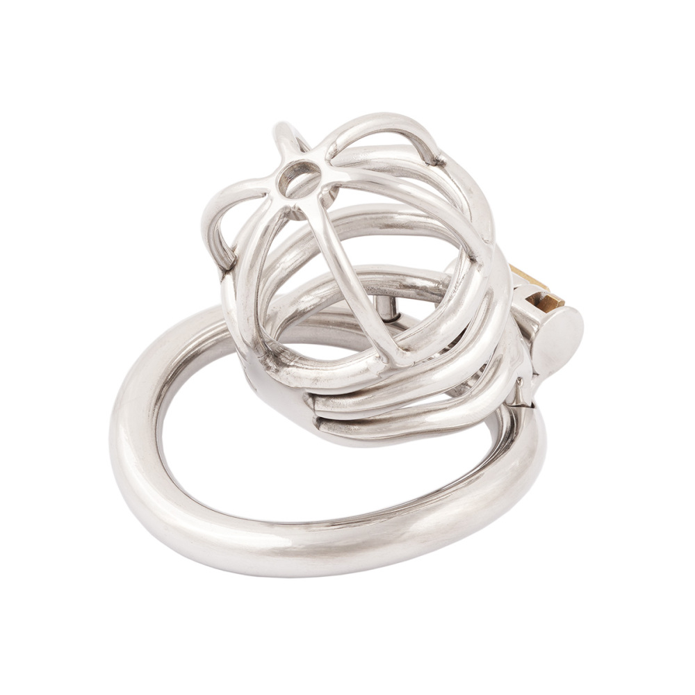 TERNENCE Chastity Device Male Virginity Lock Ergonomic Design Chastity Belt Cock Cage Adult Game Sex Toy