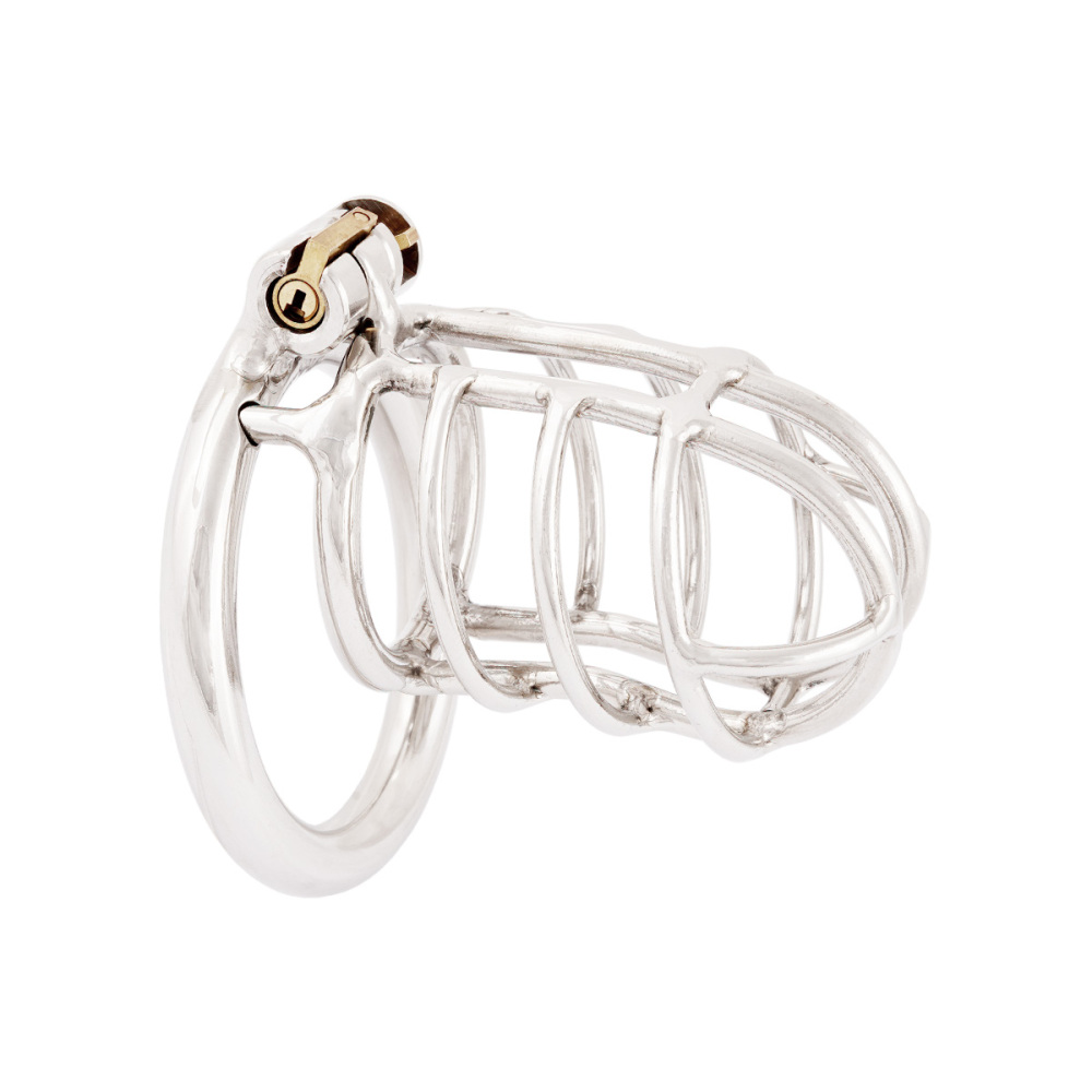 TERNENCE Metal Male Long Chastity Device 304 Steel Stainless Comfortable Closed Ring Cock Cage Adult Game Sex Toy