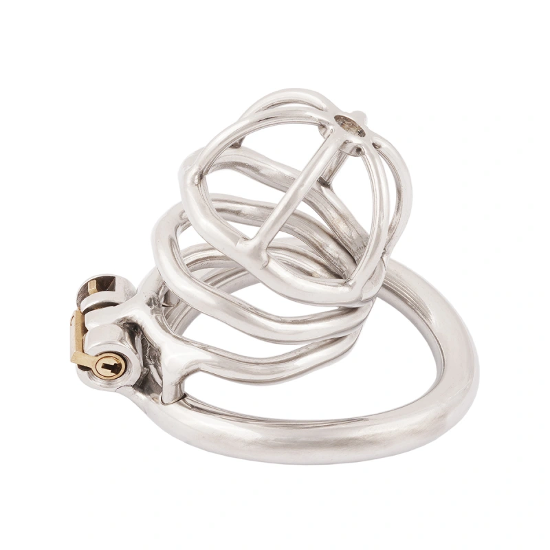 TERNENCE Chastity Device Male Virginity Lock Ergonomic Design Chastity Belt Cock Cage Adult Game Sex Toy