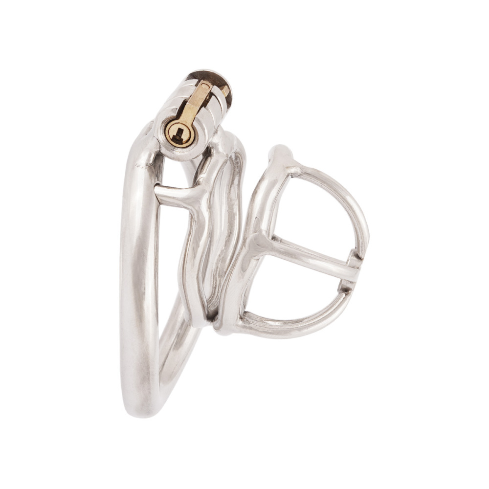 TERNENCE Male Chastity Device Stainless Steel Small Ergonomic Design Stealth Lock for Adults Solitary Extreme Confinement Cage