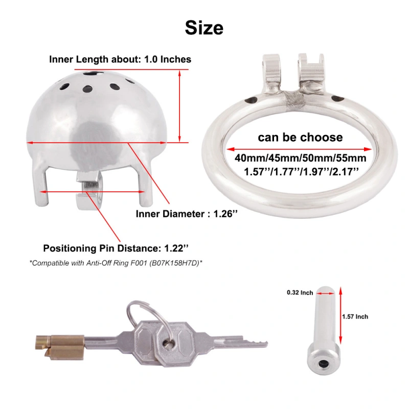 TERNENCE Stainless Steel Male Chastity Device Male Virginity Lock Cock Cage with Tube