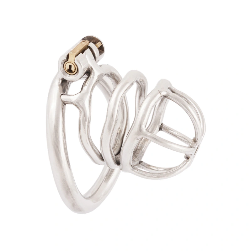 TERNENCE Chastity Device Male Virginity Lock Ergonomic Design Chastity Belt Cock Cage Adult Game Sex Toy