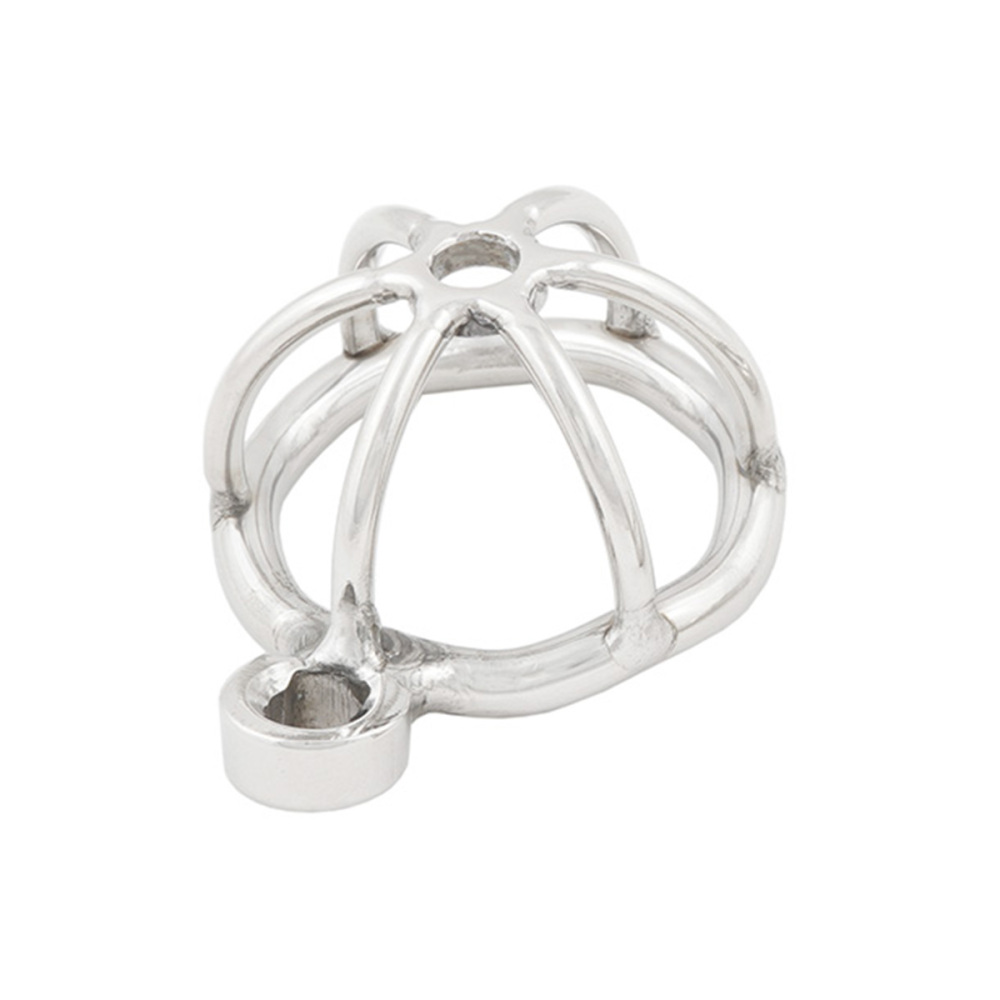 TERNENCE Short Male Chastity Device with Padlock Stainless Steel Cock Cage Virginity Lock Chastity Belt (only cages do not include rings and locks)