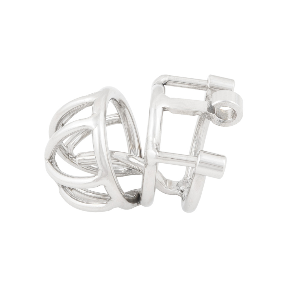 TERNENCE Male Chastity Device Cock Cage with Anti-Off Removable PA Puncture Hinged Ring Chastity Belt (only cages do not include rings and locks)