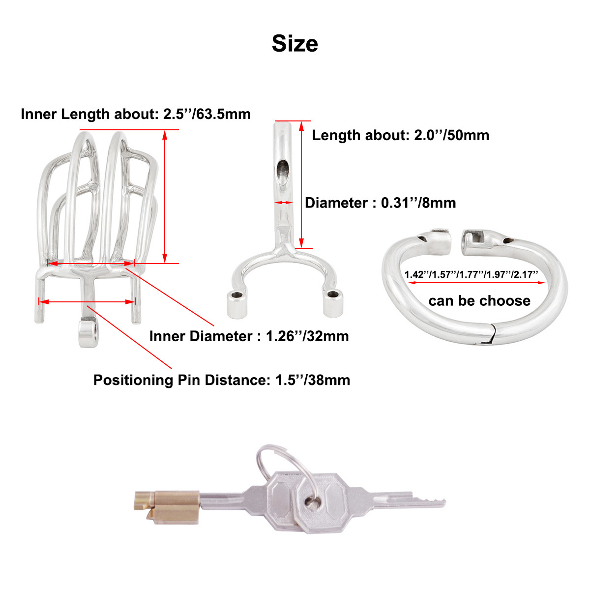 TERNENCE Male Chastity Device Cage with Removable PA Puncture Catheters Chastity Belt Cock Cage (only cages do not include rings and locks)