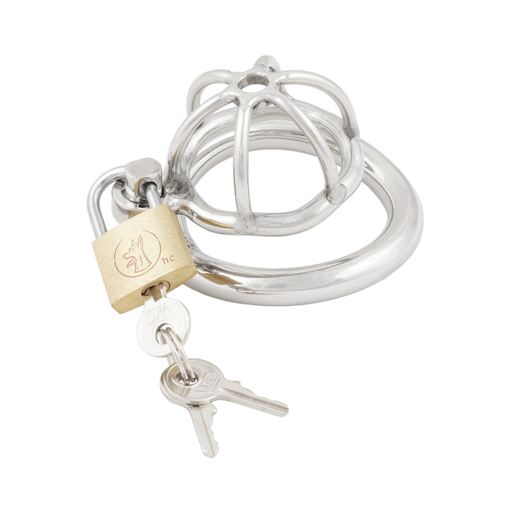 TERNENCE Short Male Chastity Device with Padlock Stainless Steel Cock Cage Virginity Lock Chastity Belt (only cages do not include rings and locks)