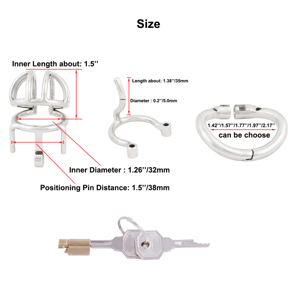 TERNENCE Male Chastity Device Cock Cage with Anti-Off Removable PA Puncture Hinged Ring Chastity Belt (only cages do not include rings and locks)