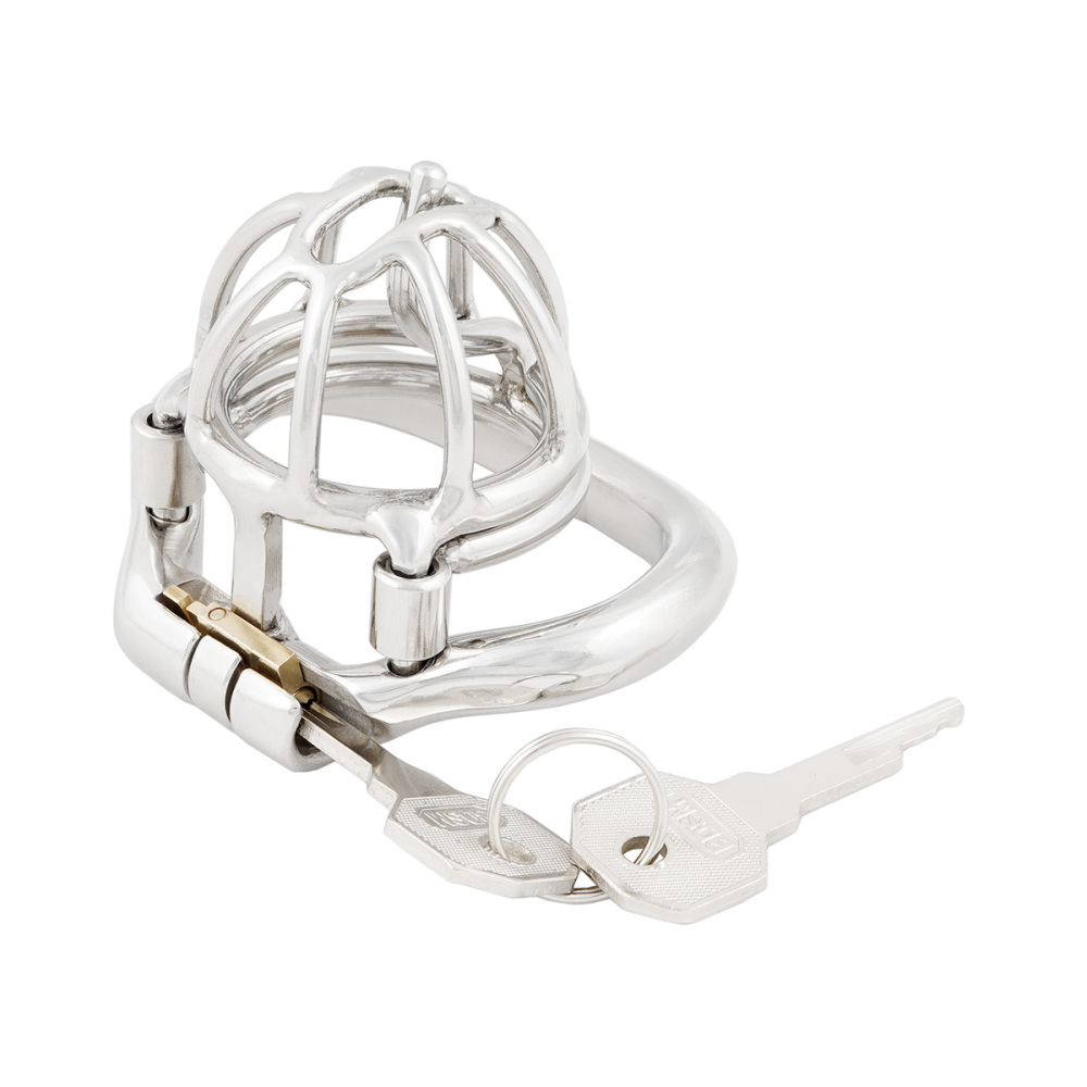 TERNENCE Male Chastity Device with Removable PA Puncture Hinged Ring Small Cock Cage (only cages do not include rings and locks)