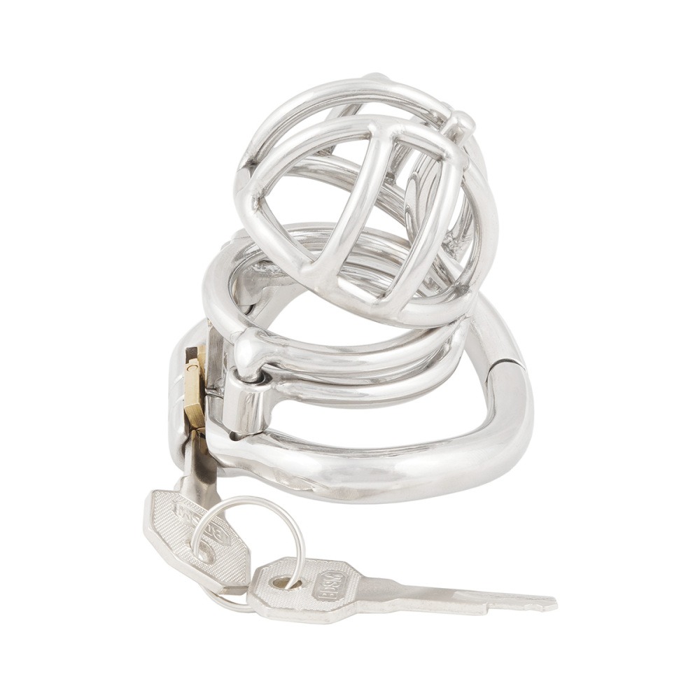 TERNENCE Male Chastity Device Cock Cage with Anti-Off Removable PA Puncture Hinged Ring Chastity Belt (only cages do not include rings and locks)