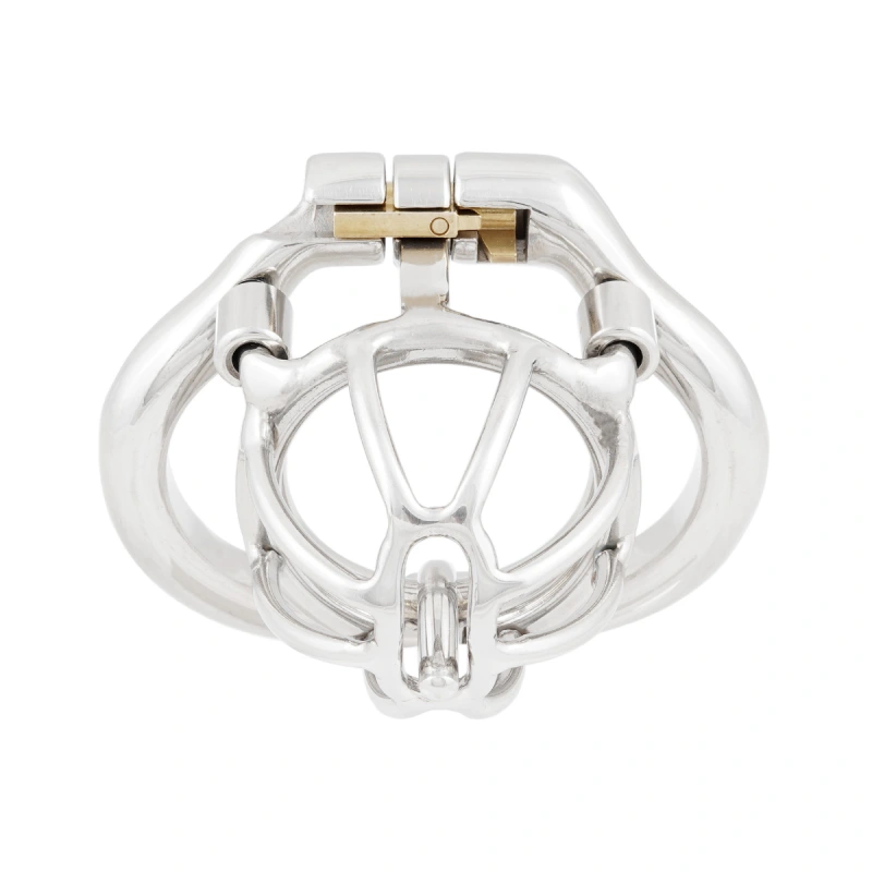 TERNENCE Male Chastity Device with Removable PA Puncture Hinged Ring Small Cock Cage (only cages do not include rings and locks)