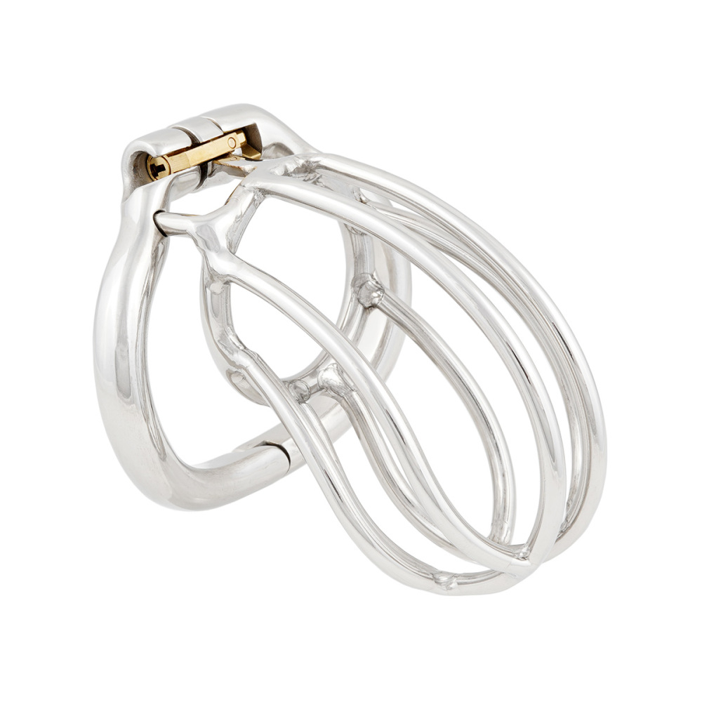 TERNENCE Male Chastity Device Ergonomic Design Stainless Steel Hinged Ring Male Cock Cage (only cages do not include rings and locks)