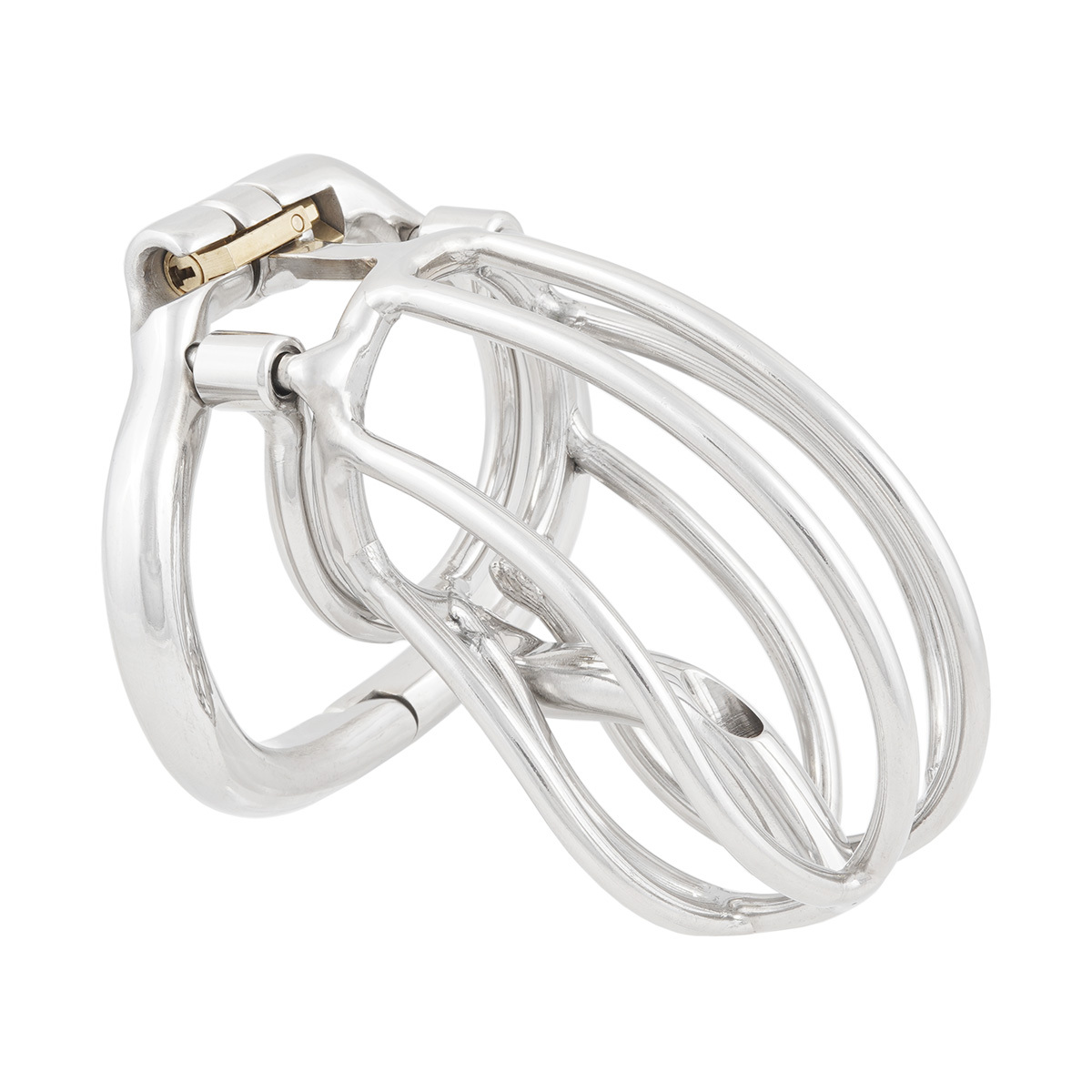 TERNENCE Male Chastity Device Cage with Removable PA Puncture Catheters Chastity Belt Cock Cage (only cages do not include rings and locks)