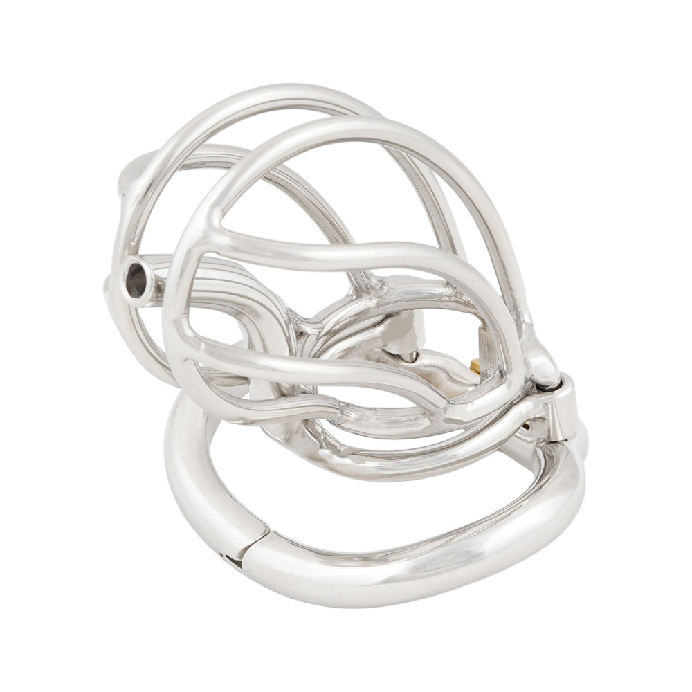 TERNENCE Male Chastity Device Cage with Removable PA Puncture Catheters Chastity Belt Cock Cage
