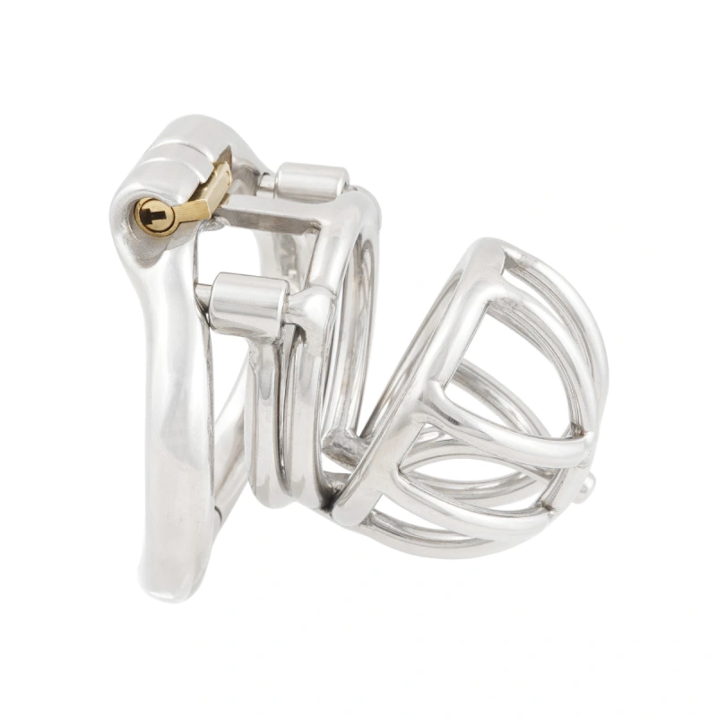 TERNENCE Male Chastity Device Cock Cage with Anti-Off Removable PA Puncture Hinged Ring Chastity Belt Adult Game Sex Toy