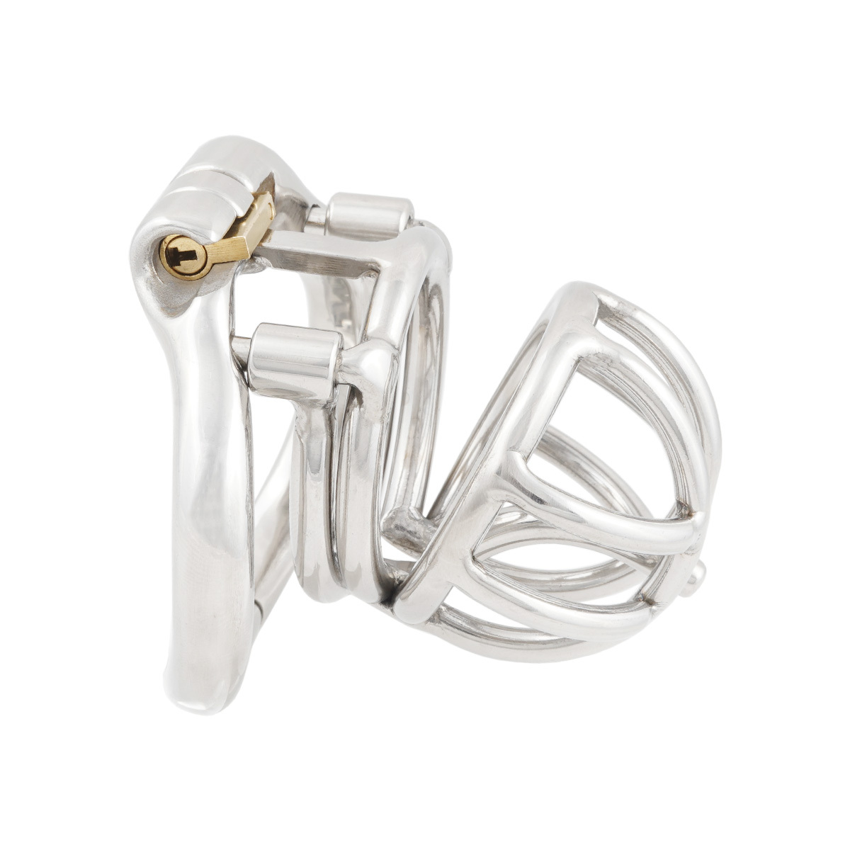 TERNENCE Male Chastity Device Cock Cage with Anti-Off Removable PA Puncture Hinged Ring Chastity Belt Adult Game Sex Toy