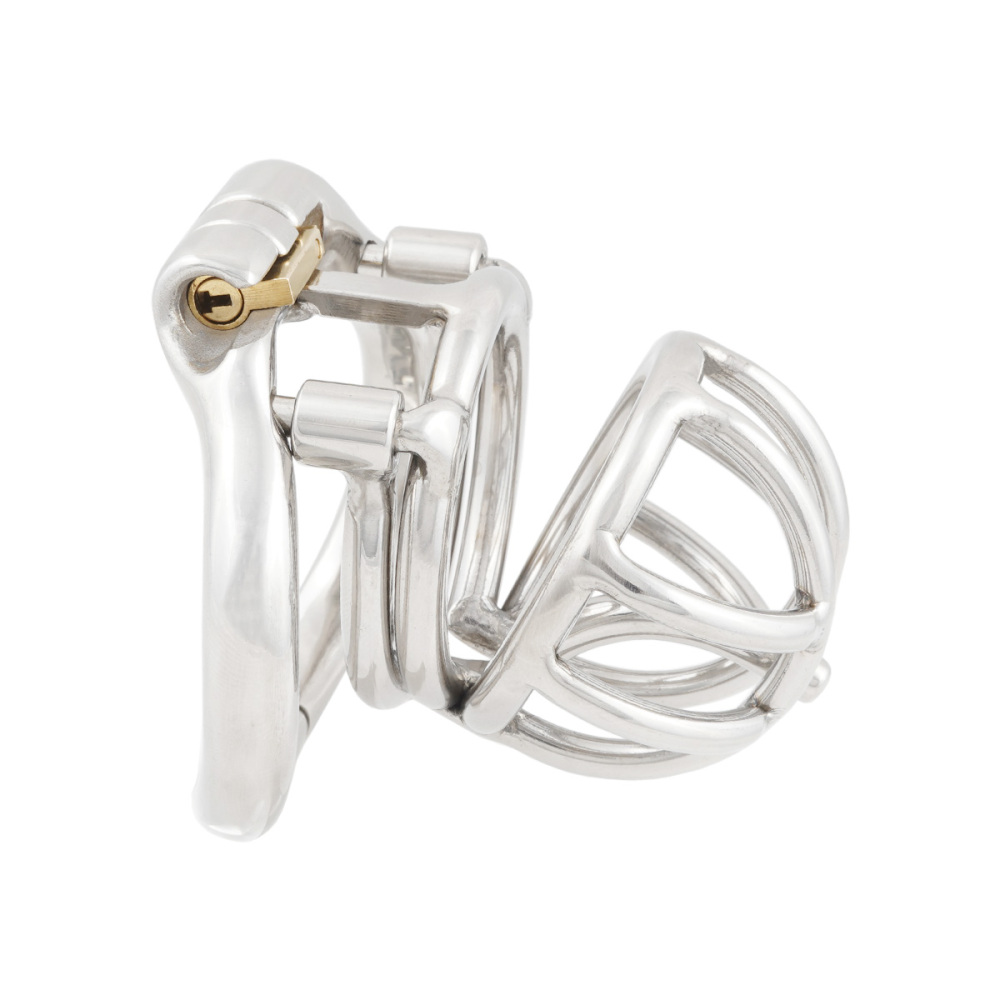 TERNENCE Male Chastity Device Cock Cage with Anti-Off Removable PA Puncture Hinged Ring Chastity Belt Adult Game Sex Toy