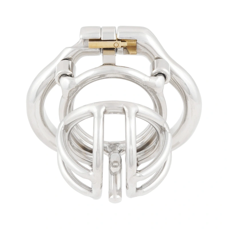TERNENCE Male Chastity Device Cock Cage with Anti-Off Removable PA Puncture Hinged Ring Chastity Belt Adult Game Sex Toy