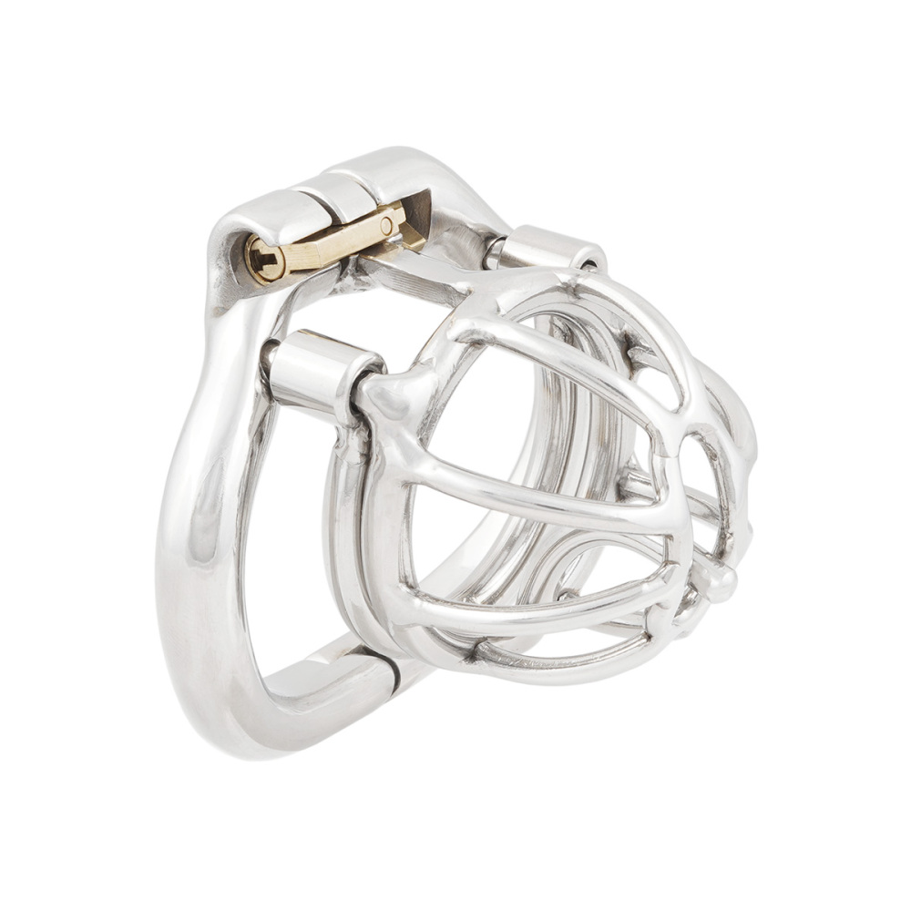 TERNENCE Male Chastity Device with Removable PA Puncture Hinged Ring Small Cock Cage (only cages do not include rings and locks)
